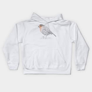 Robin Bird Branch Kids Hoodie